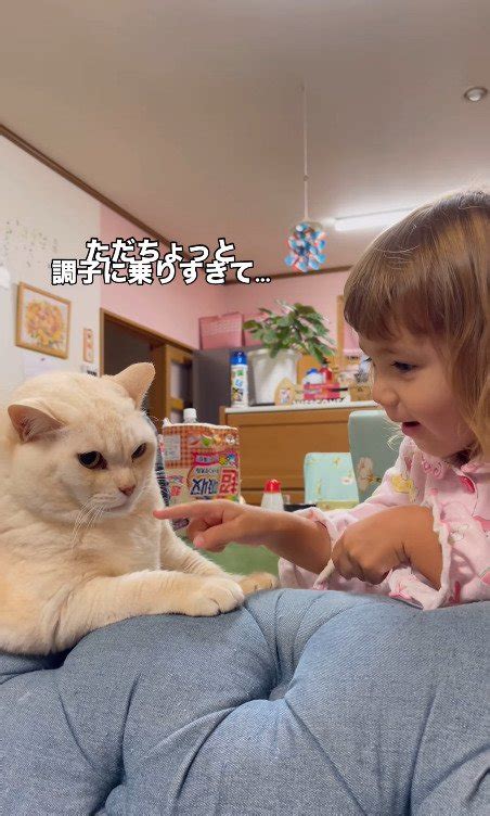 アダルト 女の子|猫に女の子が『ちょっかい』かけすぎた結果思わぬ反撃をく .